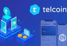  The Benefits of Telcoin and USDT in the Cryptocurrency Market