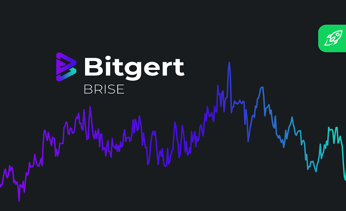 Understanding How Bitgert price or brise Price effect crypto market